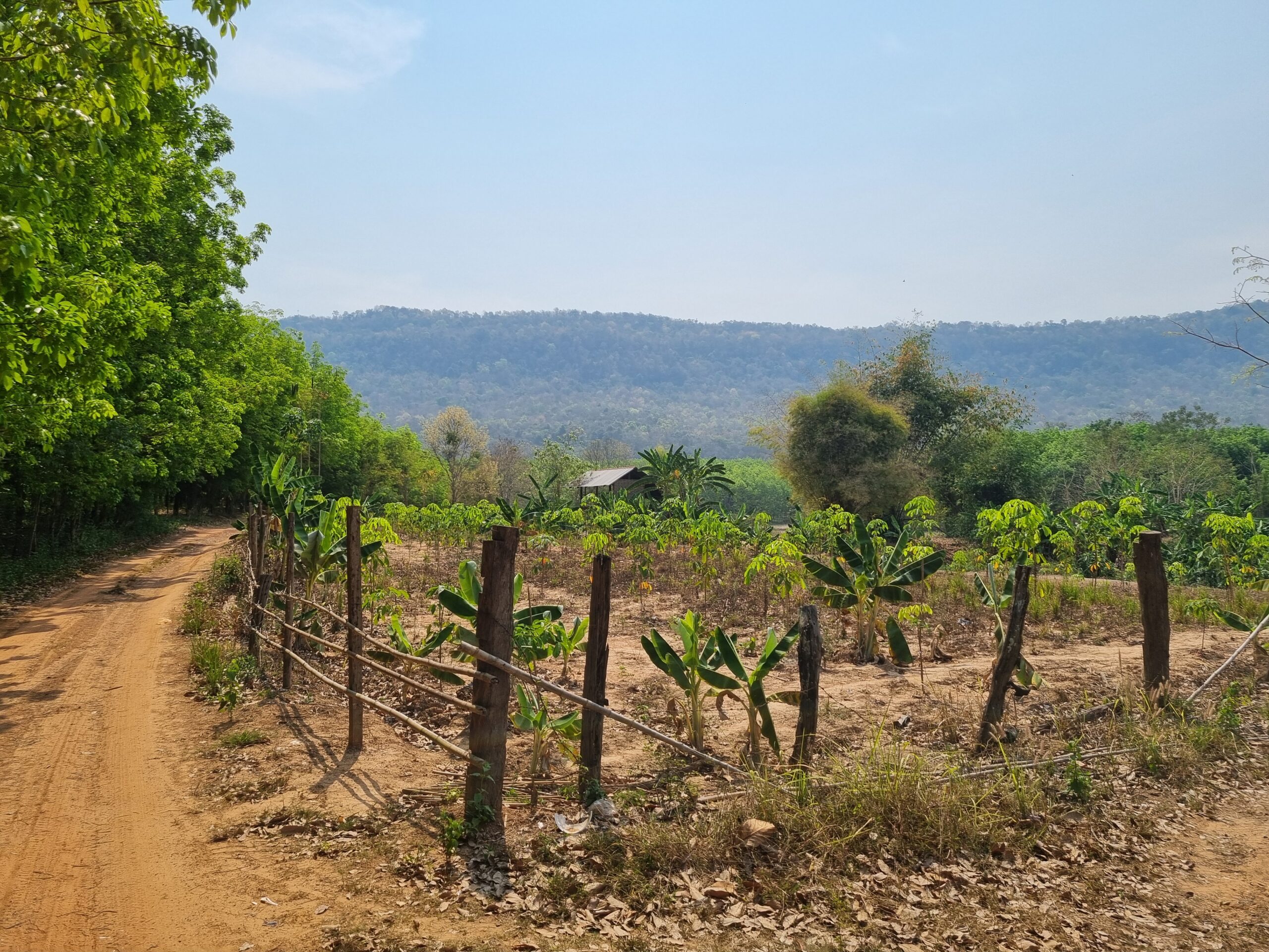 At rejse til og i Thailand